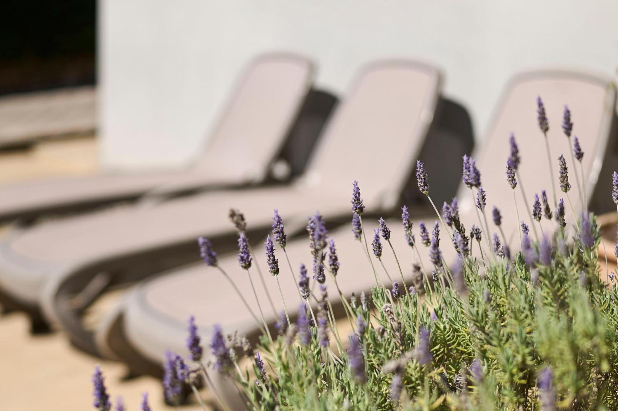 Apartments Martello Garden Пореч Екстериор снимка